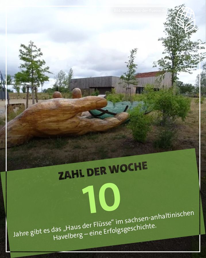 eine große hölzerne Handskulptur