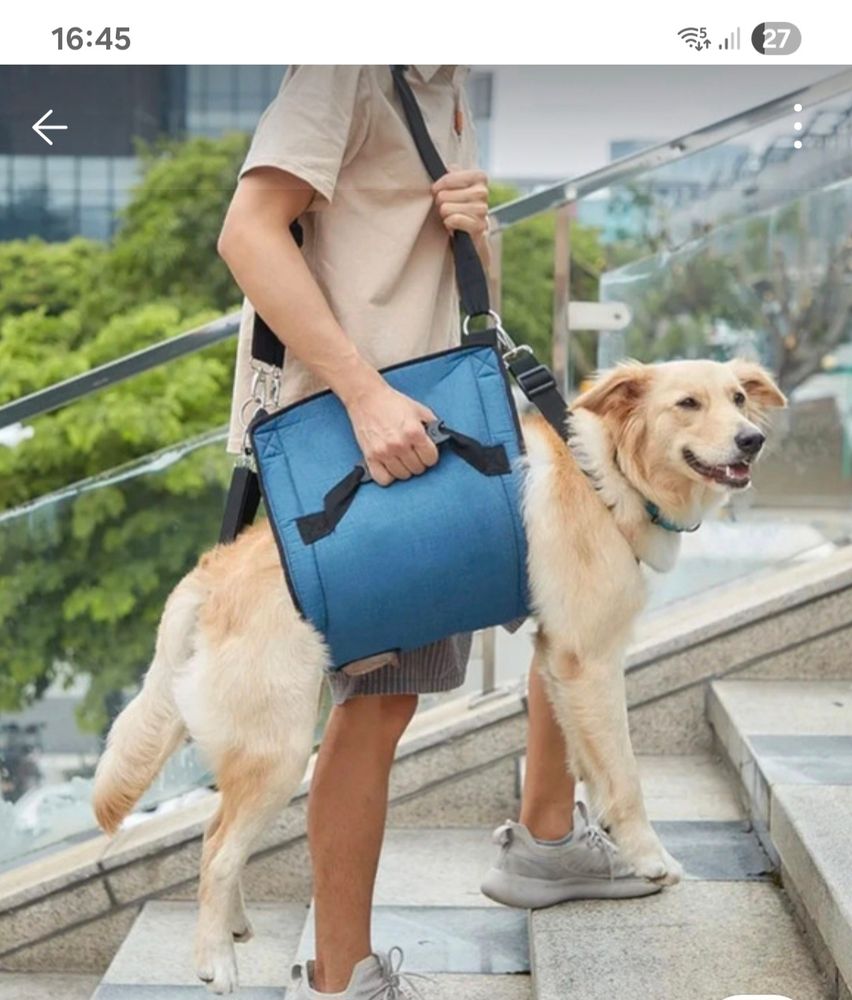 Over the shoulder carrier for large dog