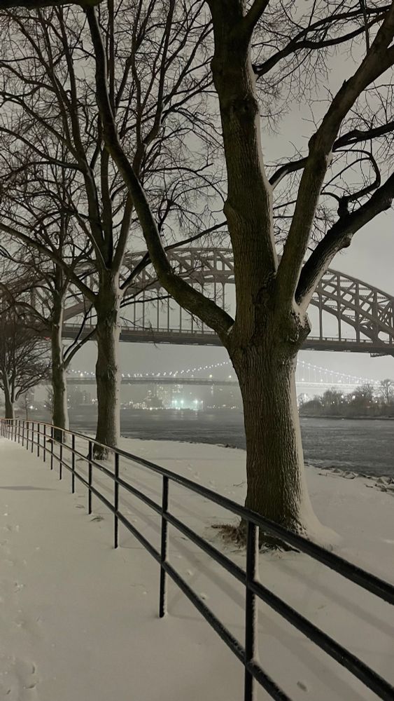 The same shot as the previous, except that the three trees that were near the horizon are now foregrounded, stretching in a row toward the bridge. The snow is lining their western sides, but the east side is bare, so you can tell where the wind is coming from. It’s a really pretty effect.