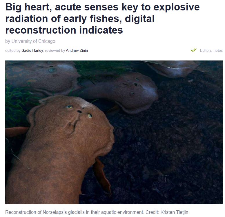 Screen capture of a science news article headline "Big heart, acute senses key to explosive radiation of early fishes, digital reconstruction indicates"