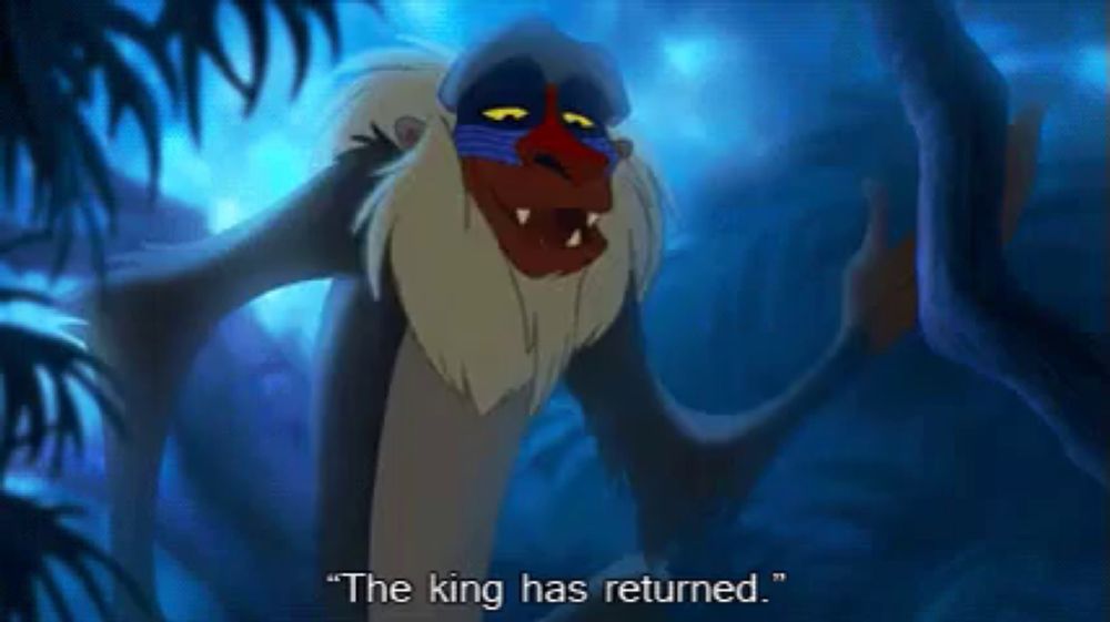 Rafiki Rafiki GIF