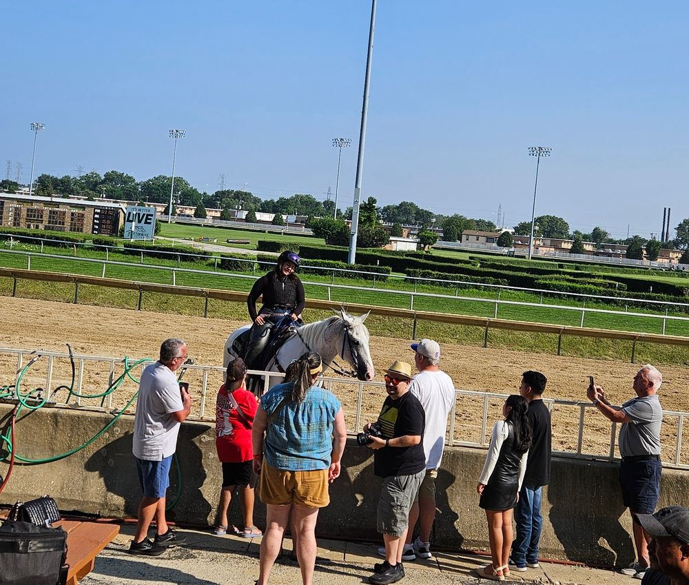 Fan favorite pony at the race track hanging out with his pals 