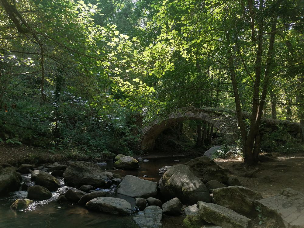Un joli pont en pierre qui surplombe une petite rivière, dans un forêt 