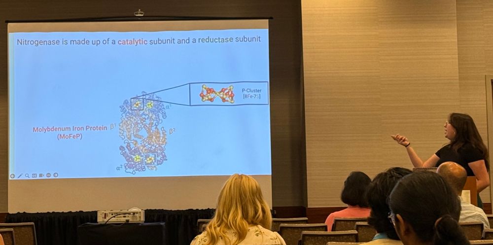 Scientist presenting talk