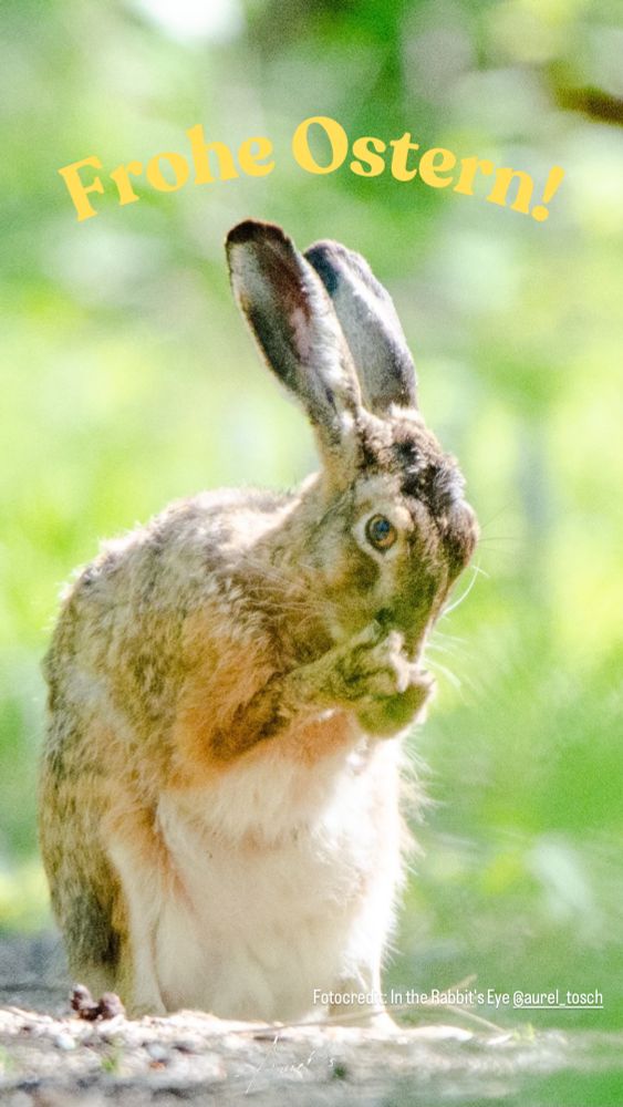 Frohe Ostern!