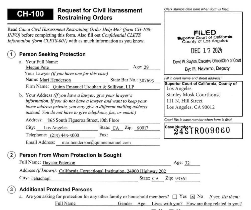 Screenshot from filing