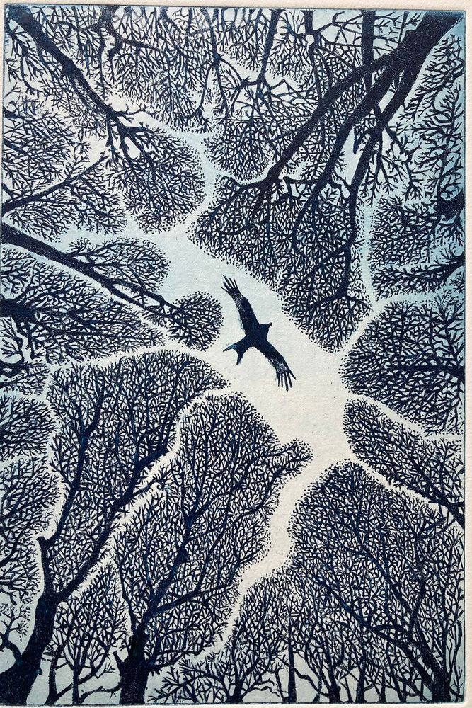 Print in blue and white looking up to a large bird flying in tbe sky which is in a space between the canopy of a forest