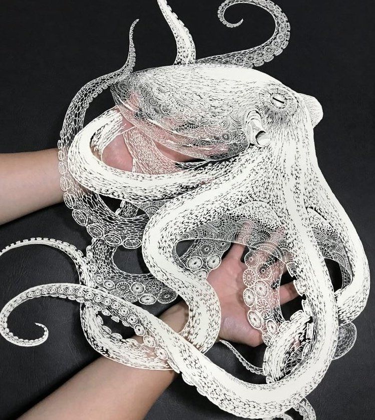Photo featuring white hands holding a delicate paper cut octopus in white against a dark background 