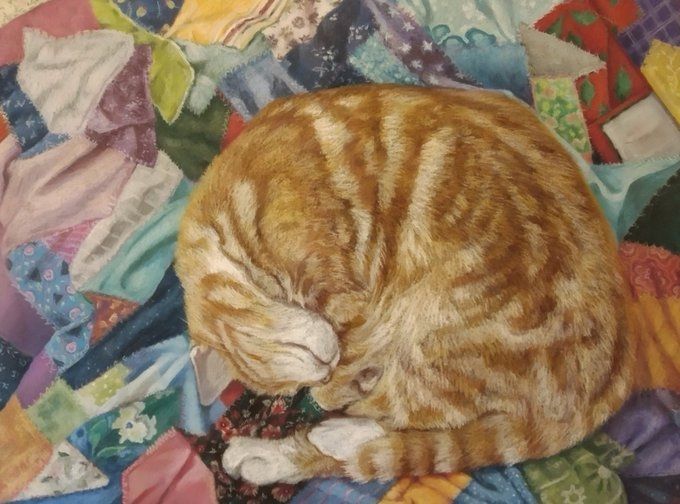 Artwork featuring a ginger tabby cat curled up and sleeping on a patchwork quilt in various colours
