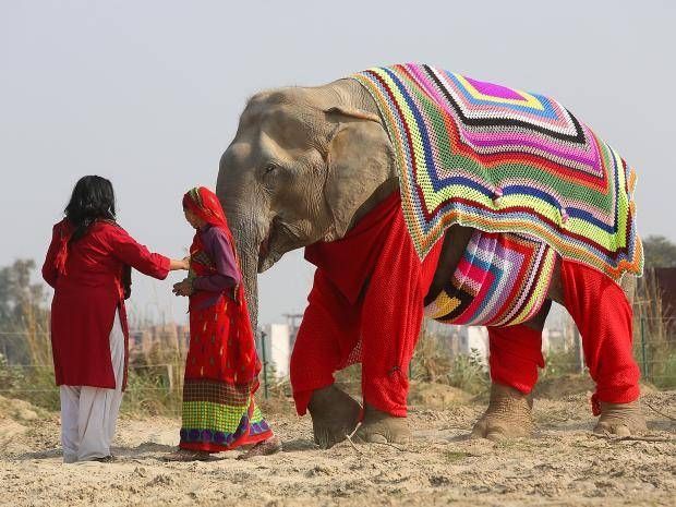 Photo of two Indian women leading an elephant which is wearing a striped blanket covering with red leggings