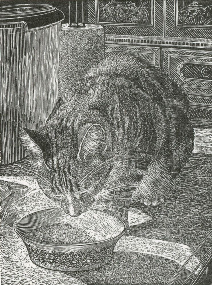 Print in black and white featuring a tabby cat, fscing forwards, drinking out of a bowl in a kitchen setting