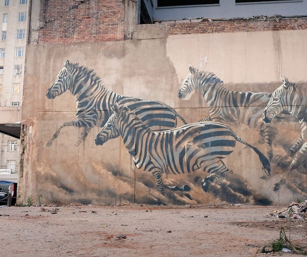 Mural on an exterior light beown wall of four zebras running towards the left