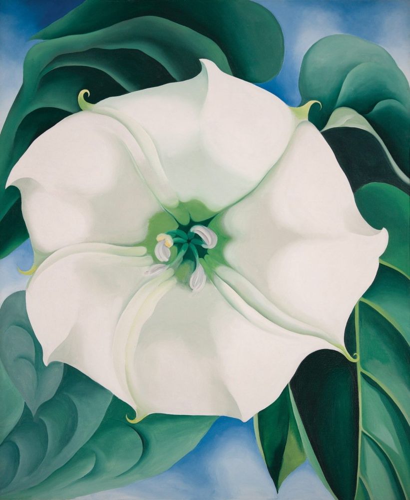 Painting of a close-up of a white open flower with green foliage behind 