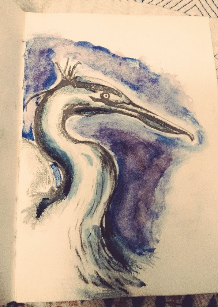 Sketch of a heron upper half facing right with purple watercolour background 