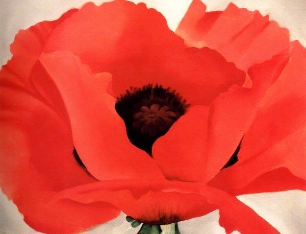 Painting of a close-up of a red poppy with black center 