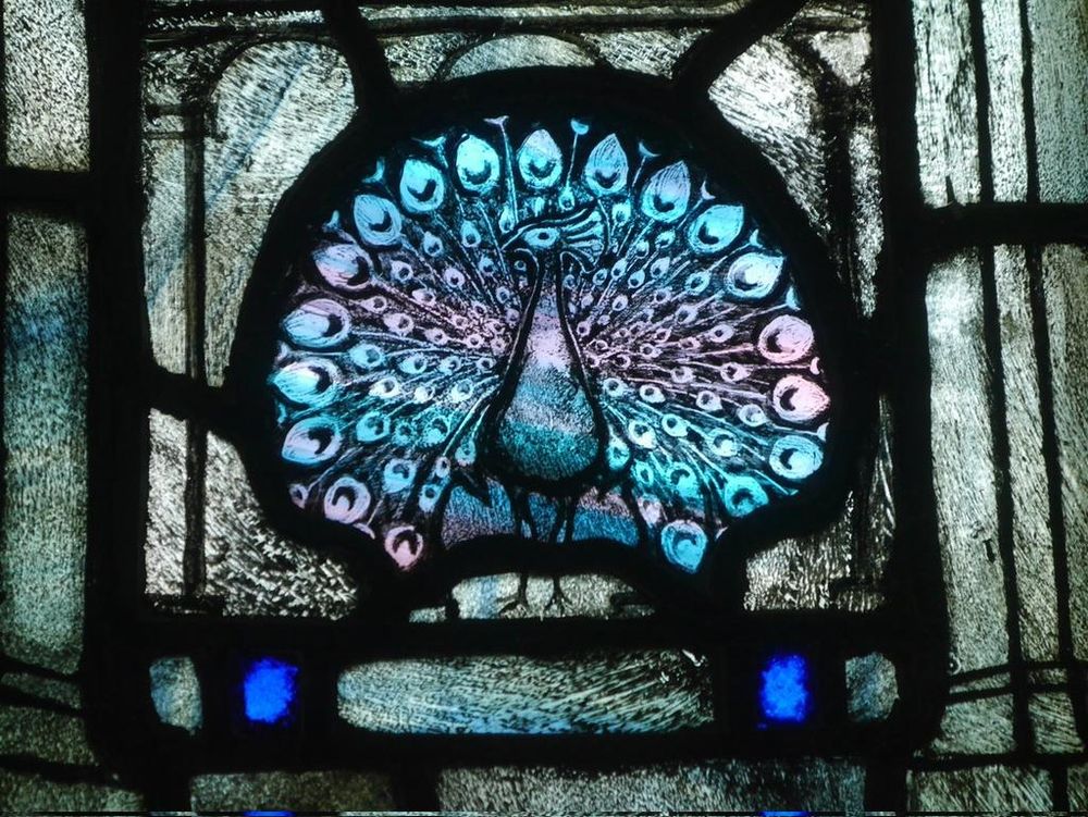 Close-up of a part of a stained glass window with a peacock facibg forwards with fanned tail in the design in blues and pinks