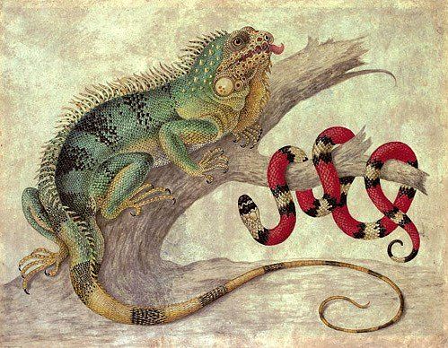 
Painting of an iguana on a small tree stump tobthe left next to a red, black and white small snake curled around broken branch