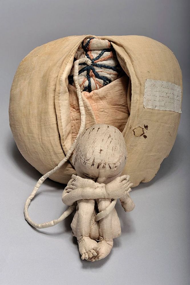 Cloth model aids for midwifery