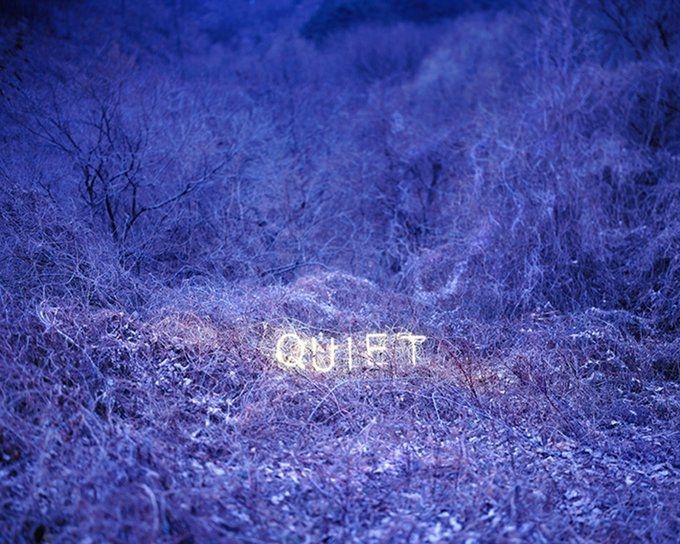White neon sign saying "Quiet" among purple undergrowth 