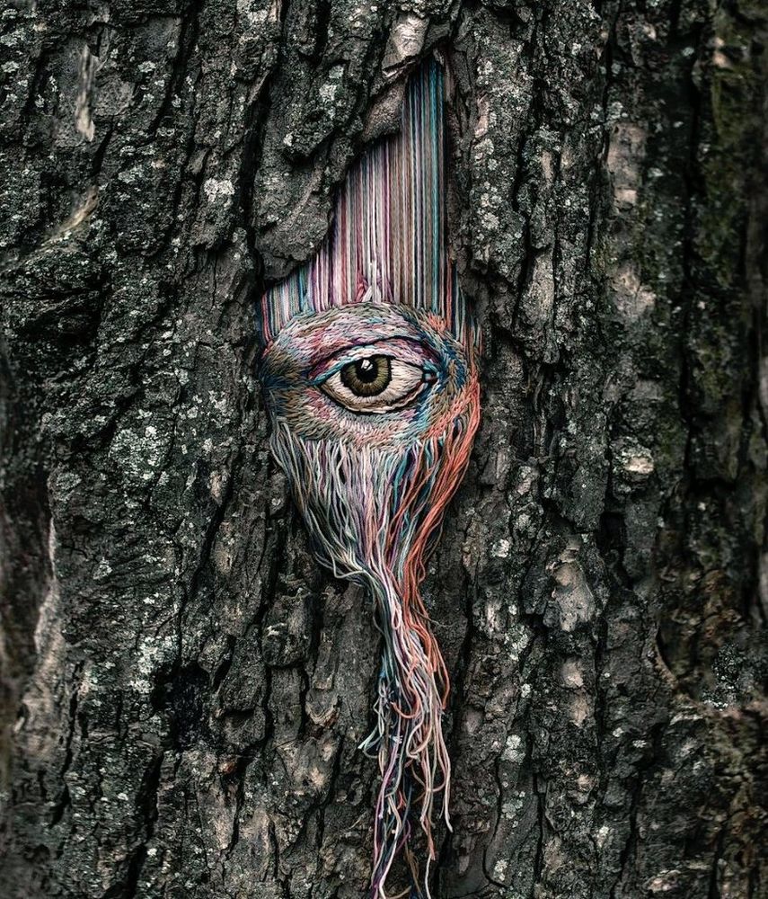 Photo of an embroidery of an eyed placed with the rough bark of a tree trunk