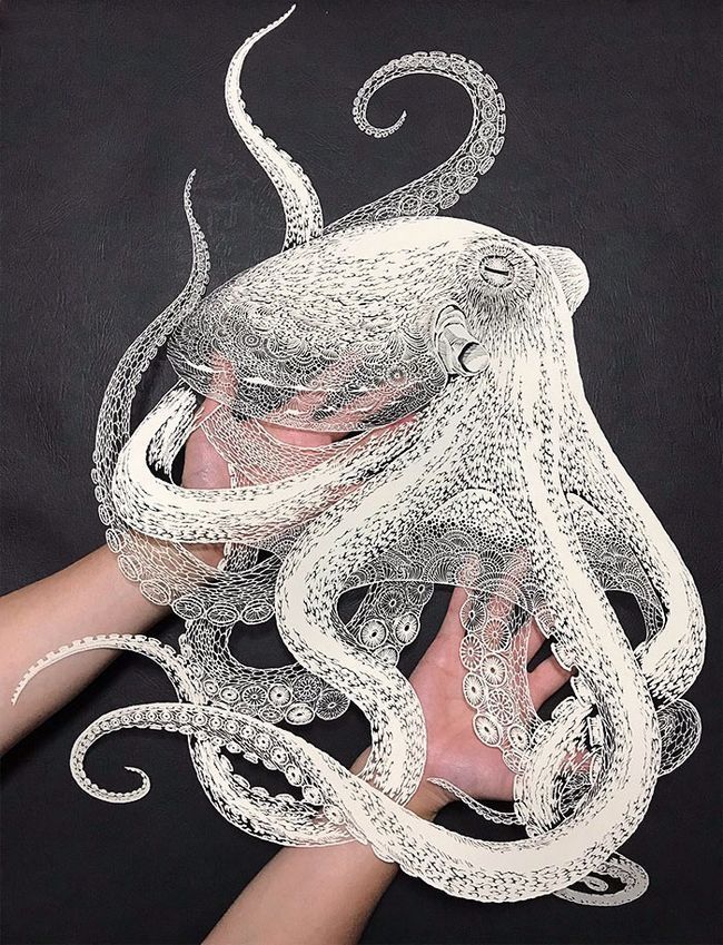 Photo of a paper cut artwork resembling an octopus created with intricate cutting in white paper, the work is being held against a dark background by two ourstretched hands