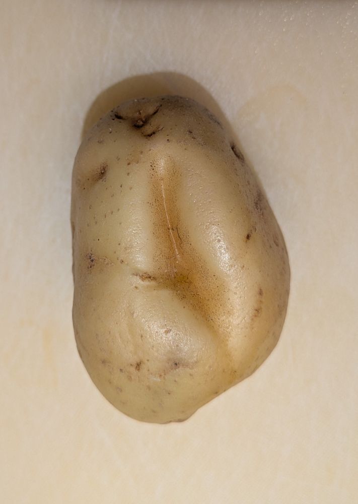 A potato with a strange looking cleft 