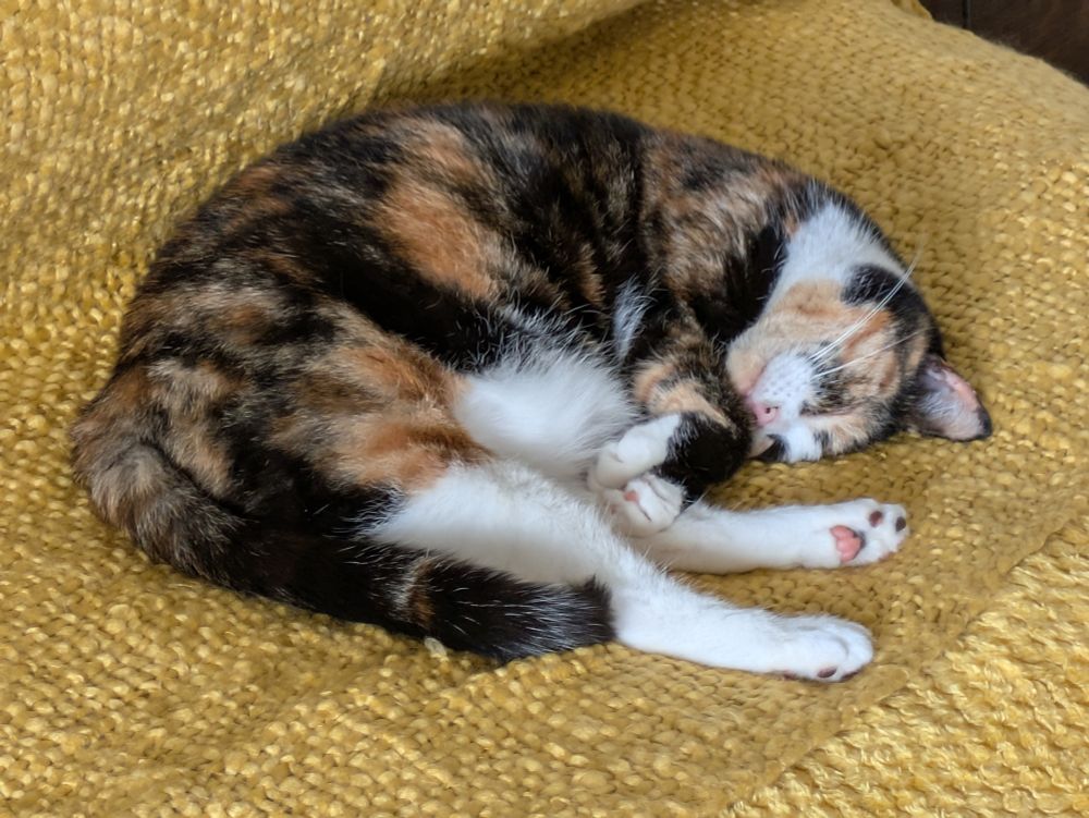A calico cat curled up asleep on a yellow blanket 