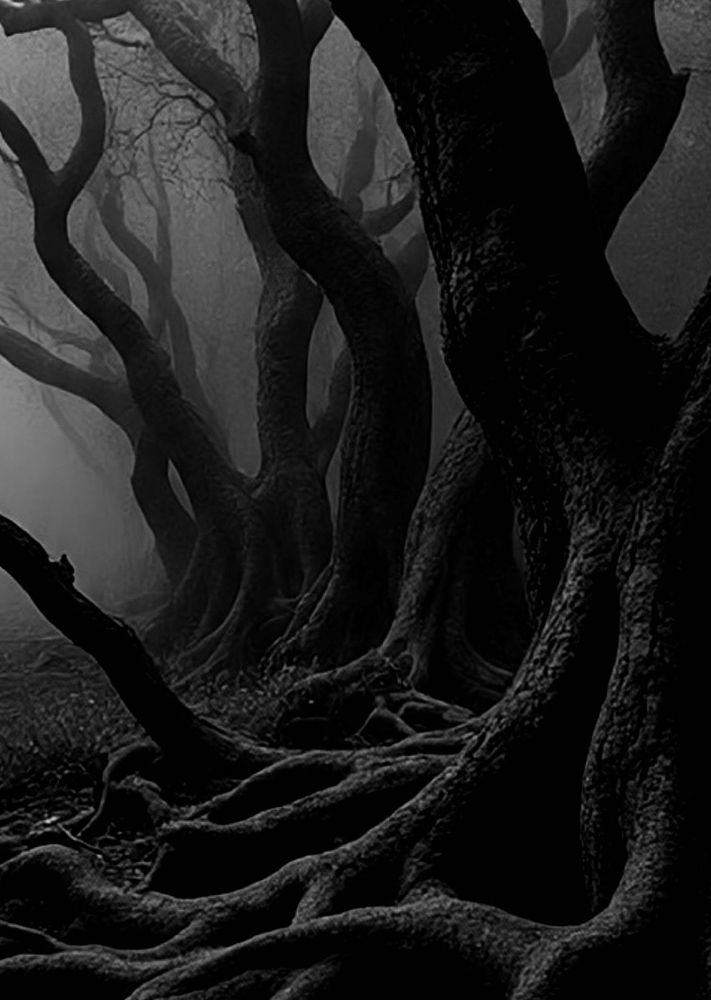 Her #language was twisted gnarled like a trees limbs thrashed by the bitter winds that furled forth from her tongue.
Standing silent bowed as sharp edged words battered my face, my hands, my body only to fall writhing with pain at my feet.
A story written in terror and shame.
*black and white stock image of gnarled twisted tree limbs.
*My words.
#Photography #Australia 
#vss365 #Poet #poem #Story #EastCoastKin #ArtYear #BlueSky #ClassicMono #Poetry 