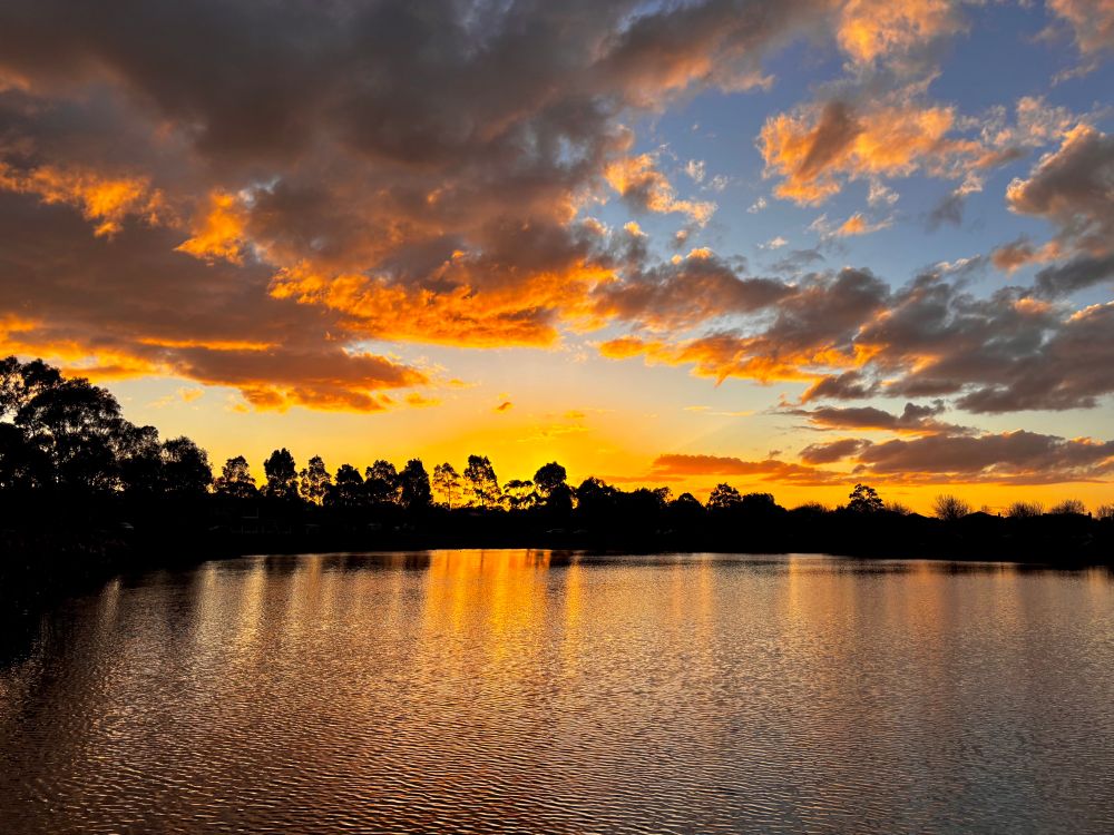 Tuesdays skies … 
Went to feed ducks totally got caught up with watching the sky turn to gold 🌟
Wishing everyone a wonderful day💛
*My image taken of tonight’s sunset just as it was going down in the lake 💡 ng up the sky above and the clouds giving them a golden sheen and the water below looking like liquid gold.
#winter #australia #sunset #photography #landscape
#EastCoastKin #nature #PhotographersOfBlue #BlueTue