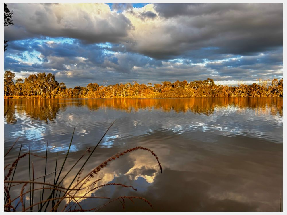 Now for some colour.
Some reflection.
A little daydreaming.
And then I’ll finish with a thanks for allowing me to see the day ✨
Image of the sunset through grey low hanging clouds above the lake the sunset changing the colours of the foliage in the surrounding landscape to reds and bronzes which is also reflected upon the lake below with the amazing clouds.
#Landscape #Australia 
#Nature #light #Photography #EastCoastKin #BlueSky #PhotographersOfBlueSky
#PhotographersOfBlueSky #ArtYear