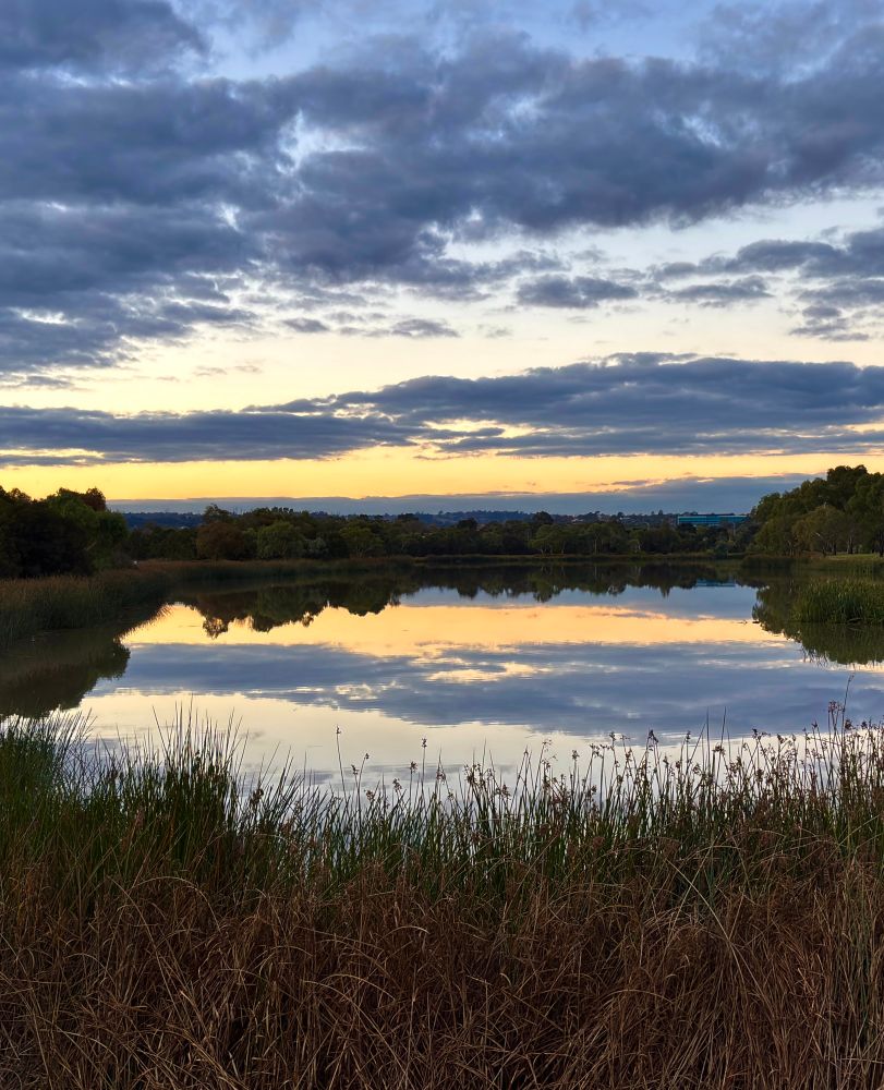 Not so much blue yet still an art show.
Hoping everyone has a spectacular weekend💙
Image of a stunning lake opening up before you with clearing sunset stormy skies yellows greys oranges reflected in the lake below.
#BlueSkyArtShow #sunset #australia #photography #EastCoastKin #sky #scape #writer 