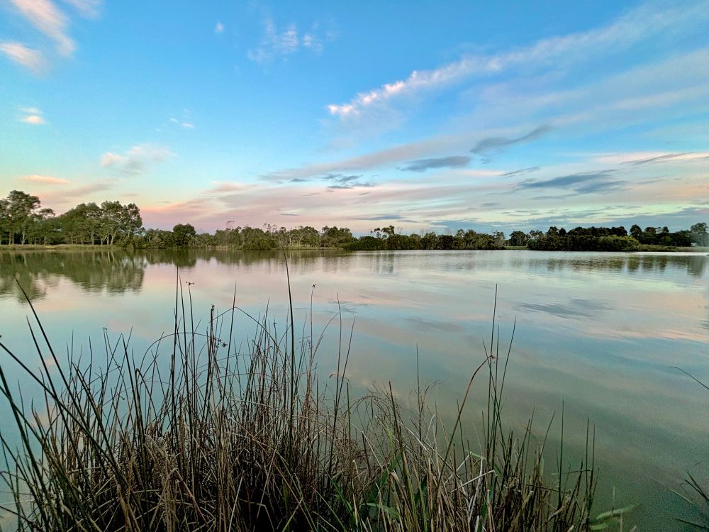 I try to find balances where ever I can.
At least for a little, taking a moment to stop.
Then my heart has a chance to fill itself helping to balance what isn’t within my control. 
Wishing you all a wonderful day.
Image of the lake when the sky put on an art show streaking it with pinks blue greys n whites like an impressionist painting which is reflected upon the water below.
#BlueSkyArtShow #Australia #Photography #Life #PhotographersUnited 
#BlueSky #Landscape #Photo #EastCoastKin
#ArtYear #Writer