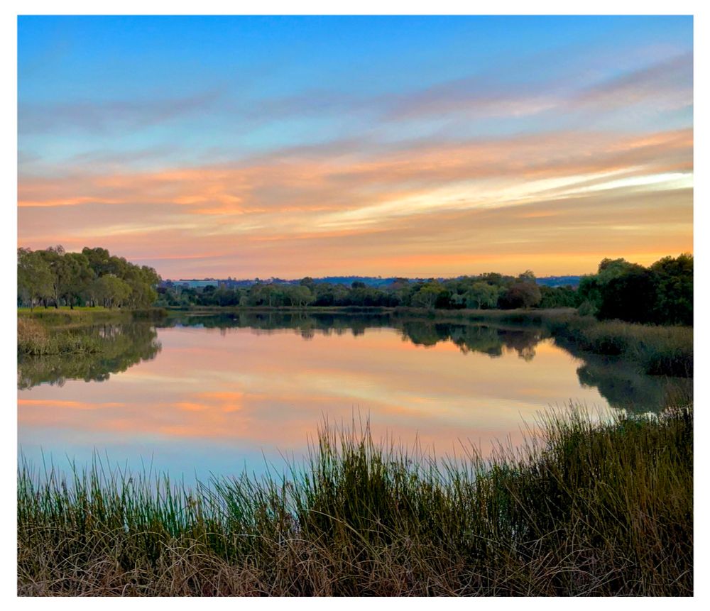 Who needs paint ? 
Greetings #BlueSky 
Wishing you all a wonderful Sunday.
Sunset over the lake with the sky streaked with apricots and oranges with breaks of blues reflected also on the lake and surrounding landscape below.
#Sunset #Australia #ArtYear #Photography #light #EastCoastKin #Landscape #Photo #Nature #PhotographersUnited  