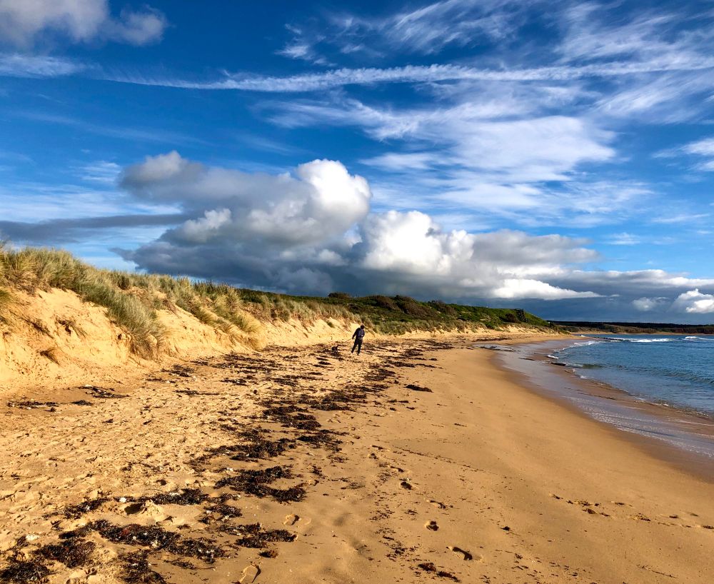 Late today 😊
Hope I didn’t miss the good stuff 💙
Image of a boy and his dog on a huge long ocean beach with small cliffs scattered with dry grasses huge towering clouds sitting low just above his head and the beach with aqua blue skies above those clouds. 
#BlueSkyPhotography 
#EastCoastKin #Australia #scape #writer #poet 
#photography 