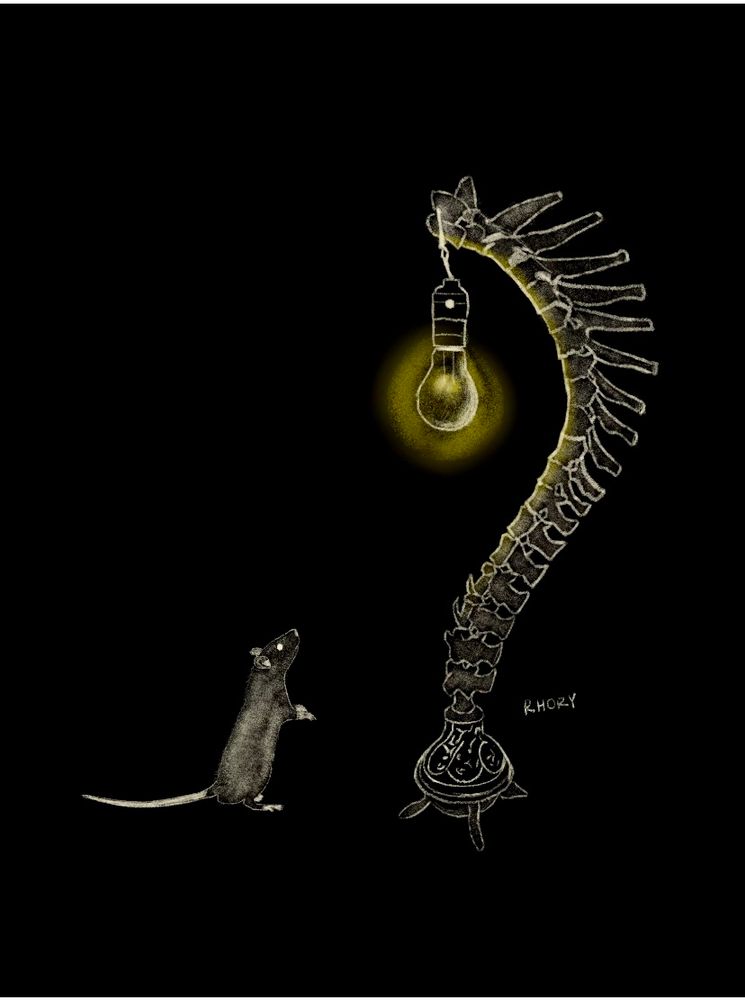 Piece of my sons art work whose extraordinarily talented taught himself to read music when little then taught himself to play cello & does all kinds of art. 
Paints with bleach does portraiture in fine line and is doing his masters in psychology.
Pretty sure he’s not mine😂
*Drawing of a mouse looking up at a light bulb in lamp made from the bones of someone’s spine.
#BlueSkyArtShow #art #drawing #artist #draw #australia #bleachart #EastCoastKin 