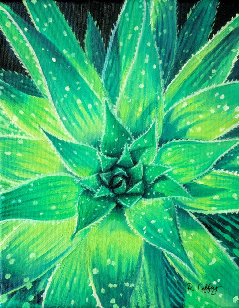 I lied, this one's not an agave, it's an aloe. Viewed from above, the plant is a vibrant, bright green. It looks as though it's almost glowing.