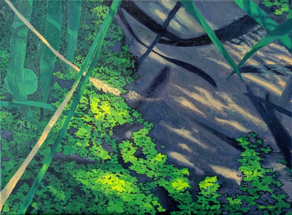 A painting of a close-up of the edge of a stream, where small aquatic plants and water are dappled with sunlight. The end of a reed trails into the stream, and leaves reflect dark shadows in the still water.