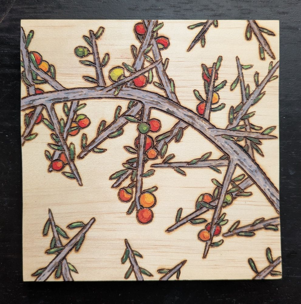 A wooden panel with a wolfberry plant burned into it with a pyrography pen. The plant is colored with watercolors, showing berries from green to yellow and red and gray bark.