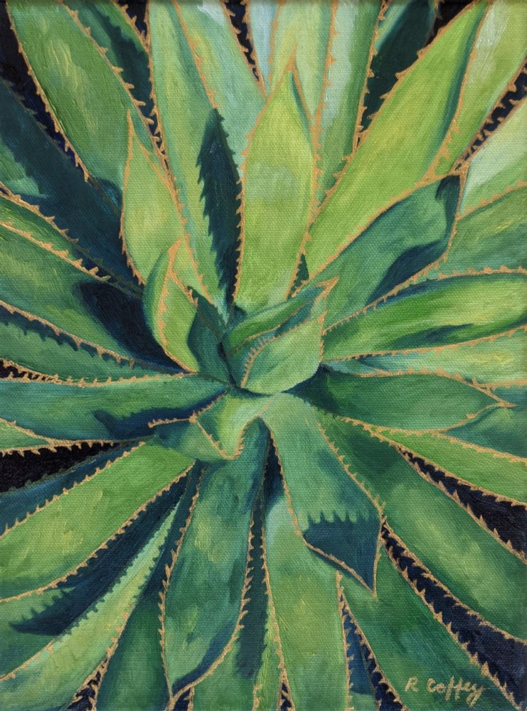 This one's actually an agave. Also viewed from above, this one is green with gold spines along its leaves and deep blue shadows.