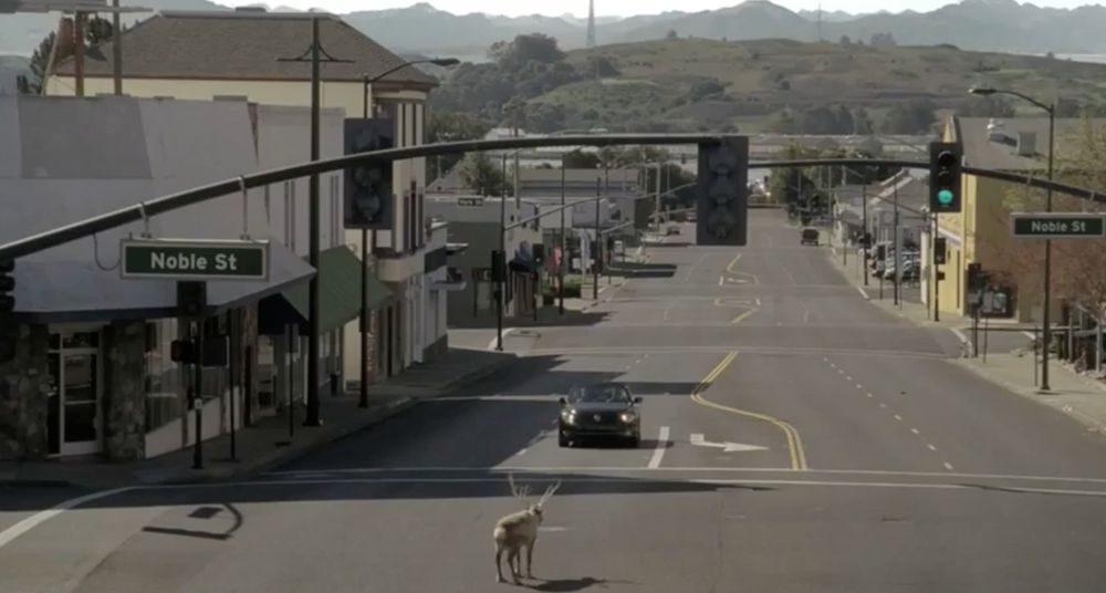 A shot of a street where a car is at a stoplight because a caribou is in the middle of the road. It's supposed to be Fairbanks, Alaska but is actually northern california and is very obvious about it. 