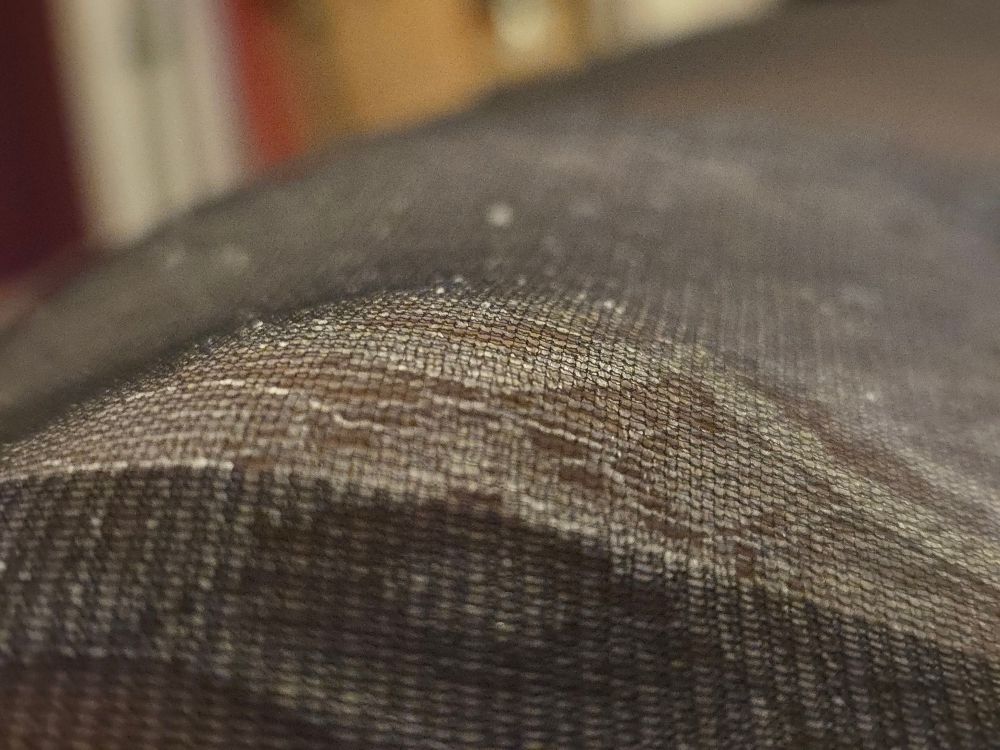 Anotherother closeup of Mona in semi-opaque black nylon tights layered over light gray lace panties. 
