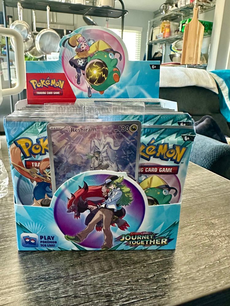 A display box full of Pokemon trading card packs for the Journey Together expansion. The box is light blue and has images of N with Zororak and Iono with Belibolt.