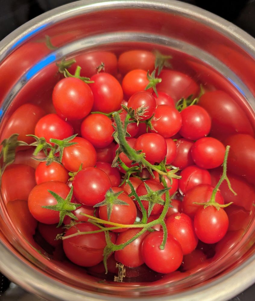 Schüssel mit kleinen Tomaten 