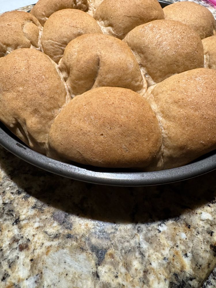 Closeup of a pan of homemade rolls. One has a fold in it that looks like a butt if you’re immature.