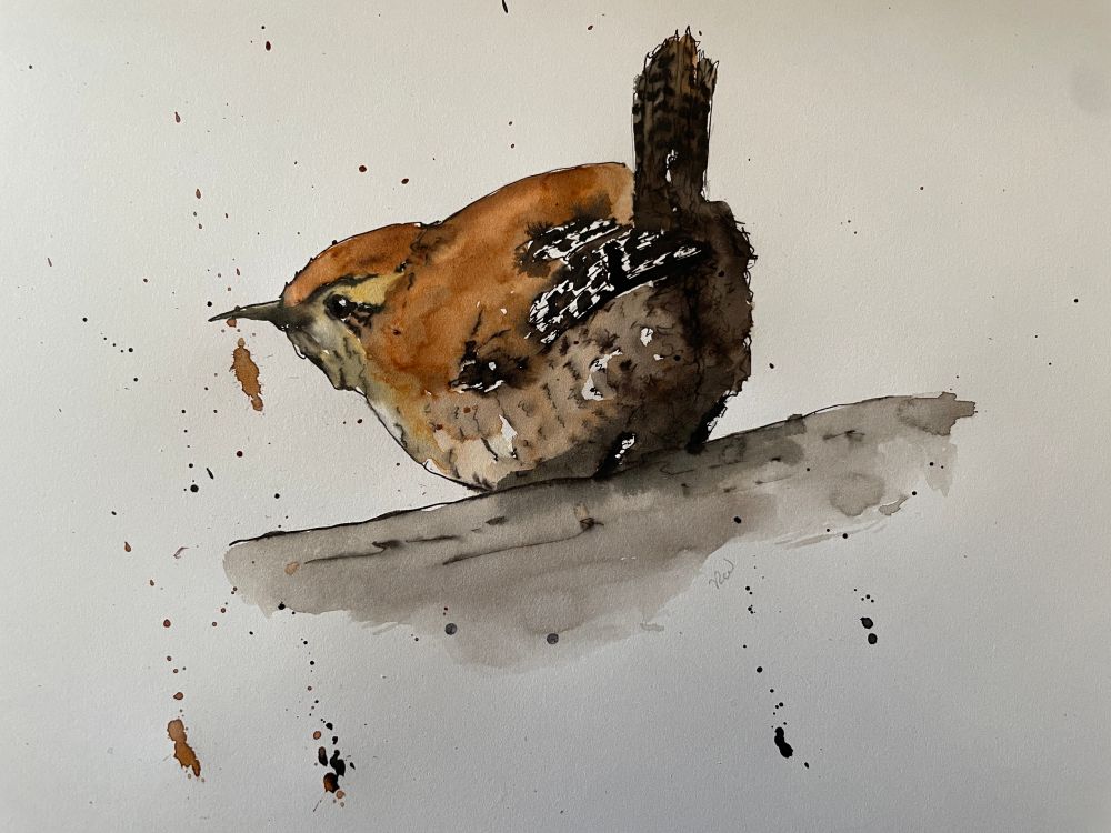 Ink & watercolour of small chestnut brown bird looking to left, sharp pointy beak and speckled wings. Stubby upright tail feathers, standing on a grey log.