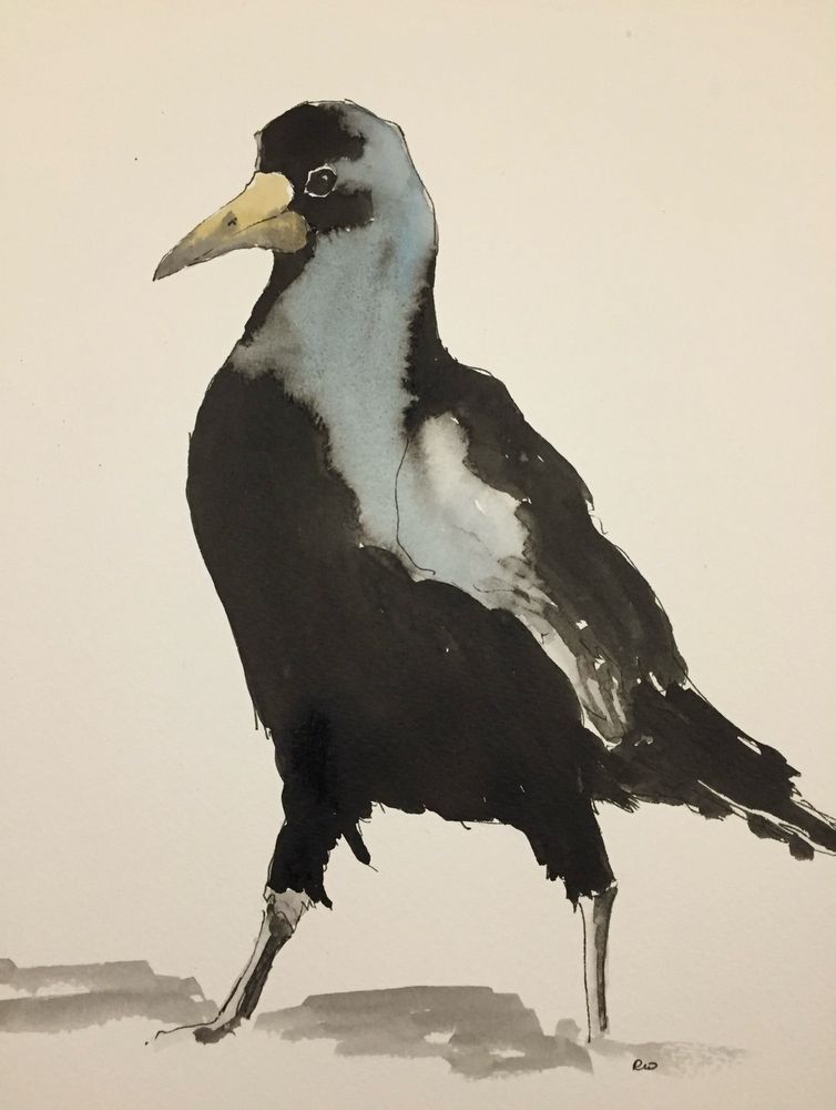 Painting of rook facing to left, legs apart in mid-stride, black but with pale central area where light is on the plumage. 