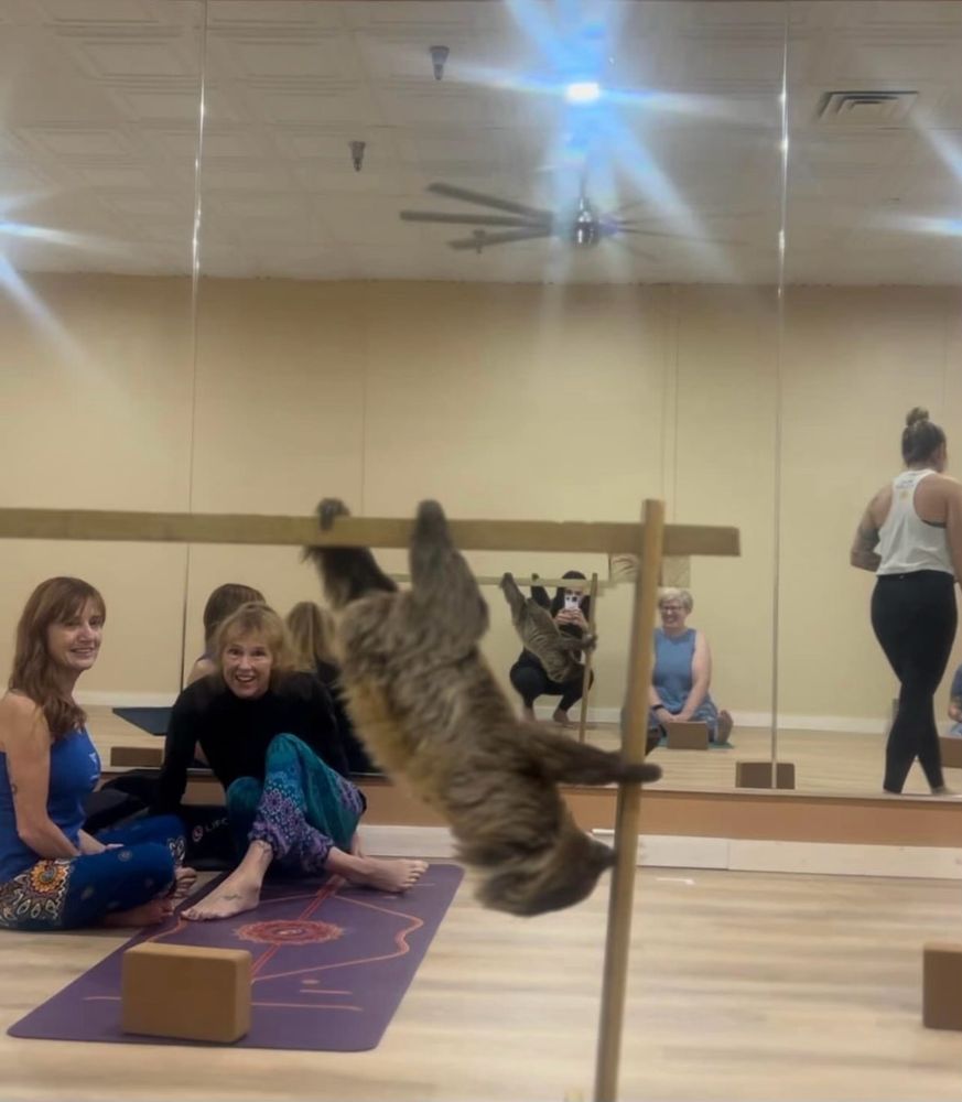 Picture with my friend and a sloth 
