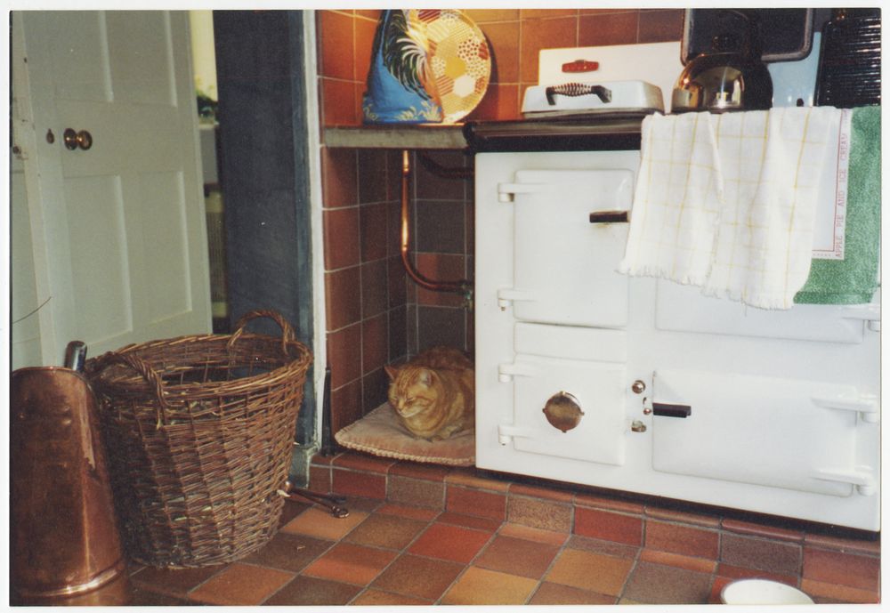 Colour photograph of a kitchen with an AGA. Rupert the cat has found a cosy spot next to the AGA. He is resting on his belly, with his forepaws tucked underneath his chest, like a loaf of bread. His eyes are closed and he looks very contented.