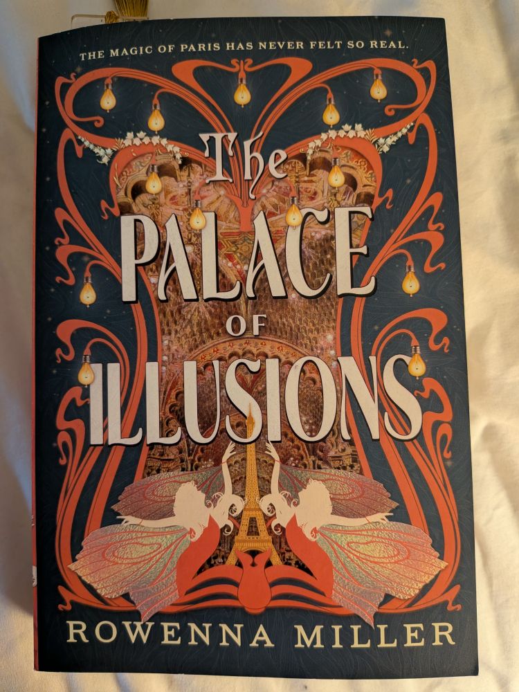 A snapshot of the book cover for The Palace of Illusions by Rowenna Miller. 