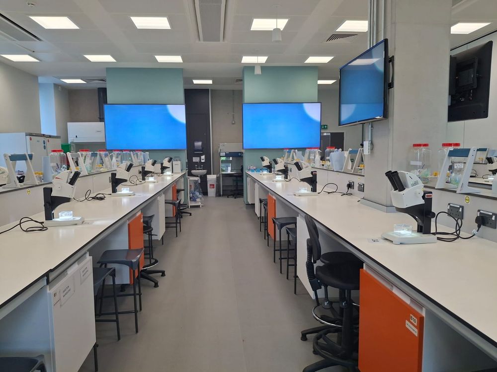 Laboratory benches with rows of microscopes, each with an illuminated box of insect specimes